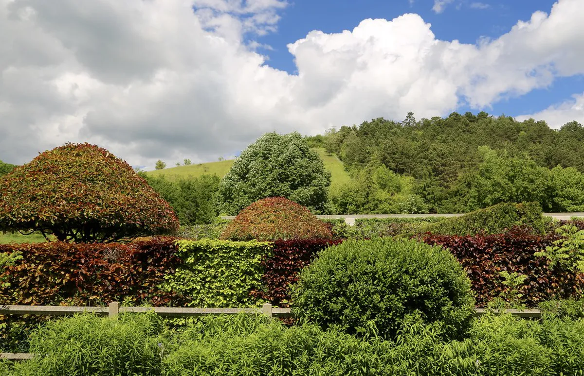 Best Views at Denis Gardens Terrace Overlook in 2026