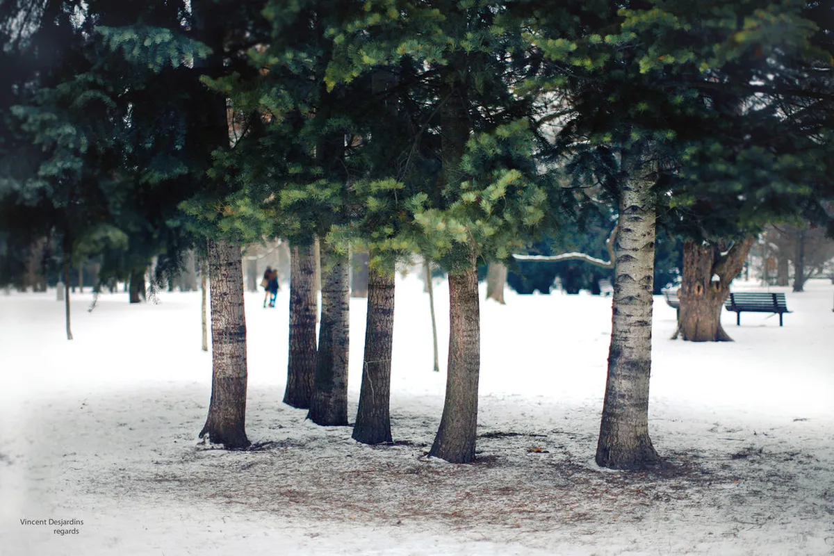 10 Best Lužánky Park Walking Paths & Brno Sights