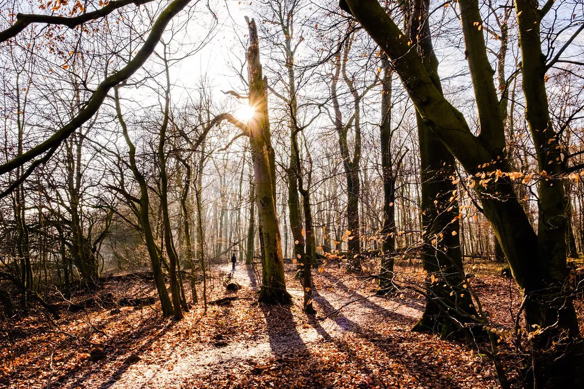 Moravian Karst Day Trip Guide: Top 10 Sights