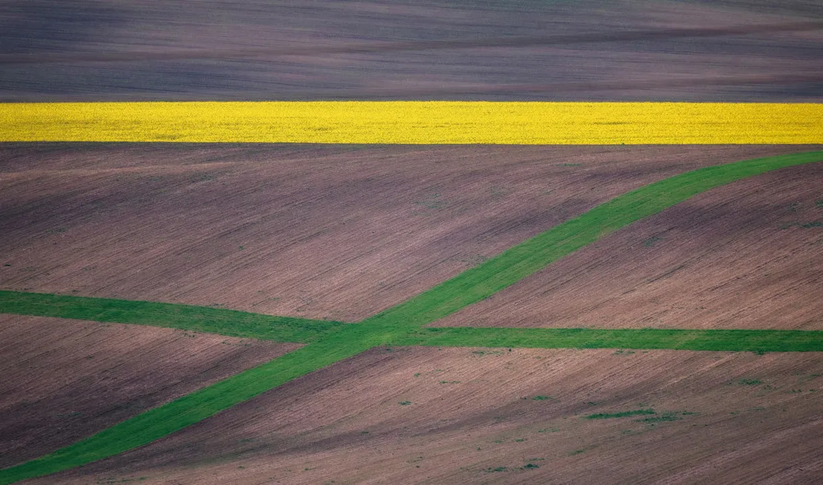 10 Best South Moravian Wine Tasting Day Trips From Brno