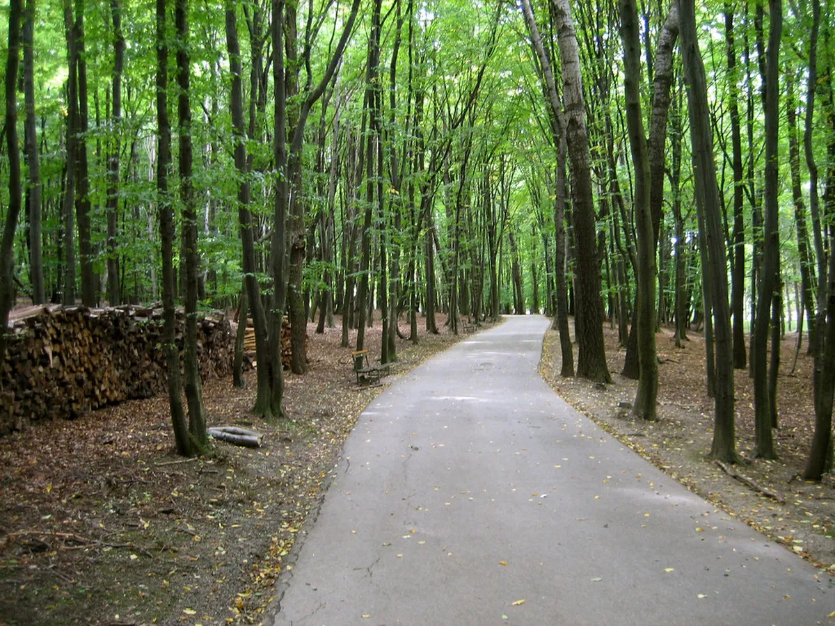 Stroller Friendly Paths Along Svratka River in Brno