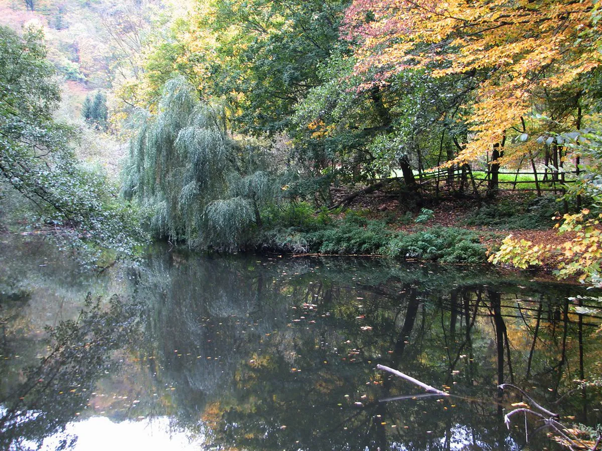 Svitava River Trail Itinerary: Explore Brno’s Best Path