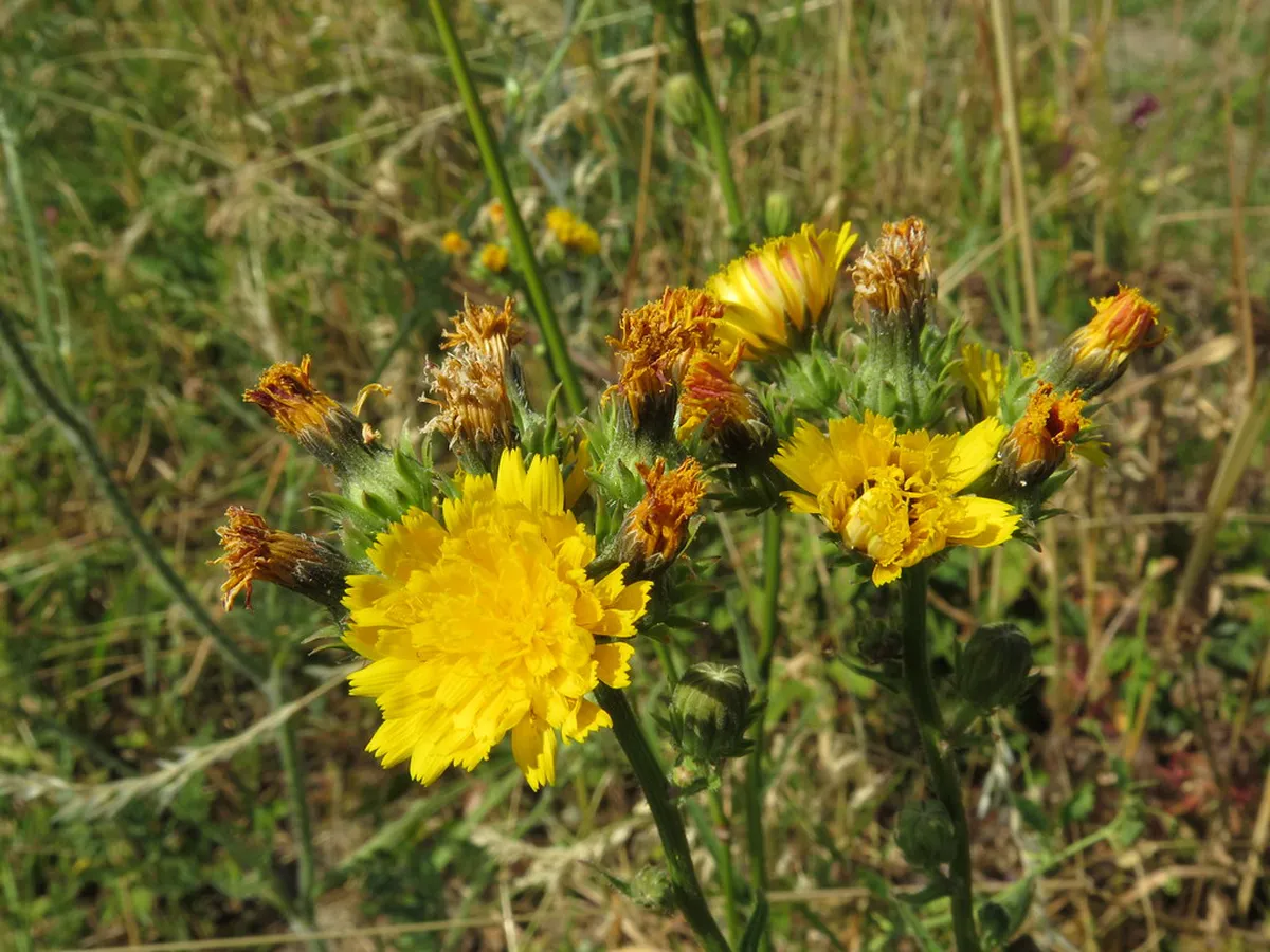 10 Best Things to Do in Znojmo and Podyjí National Park