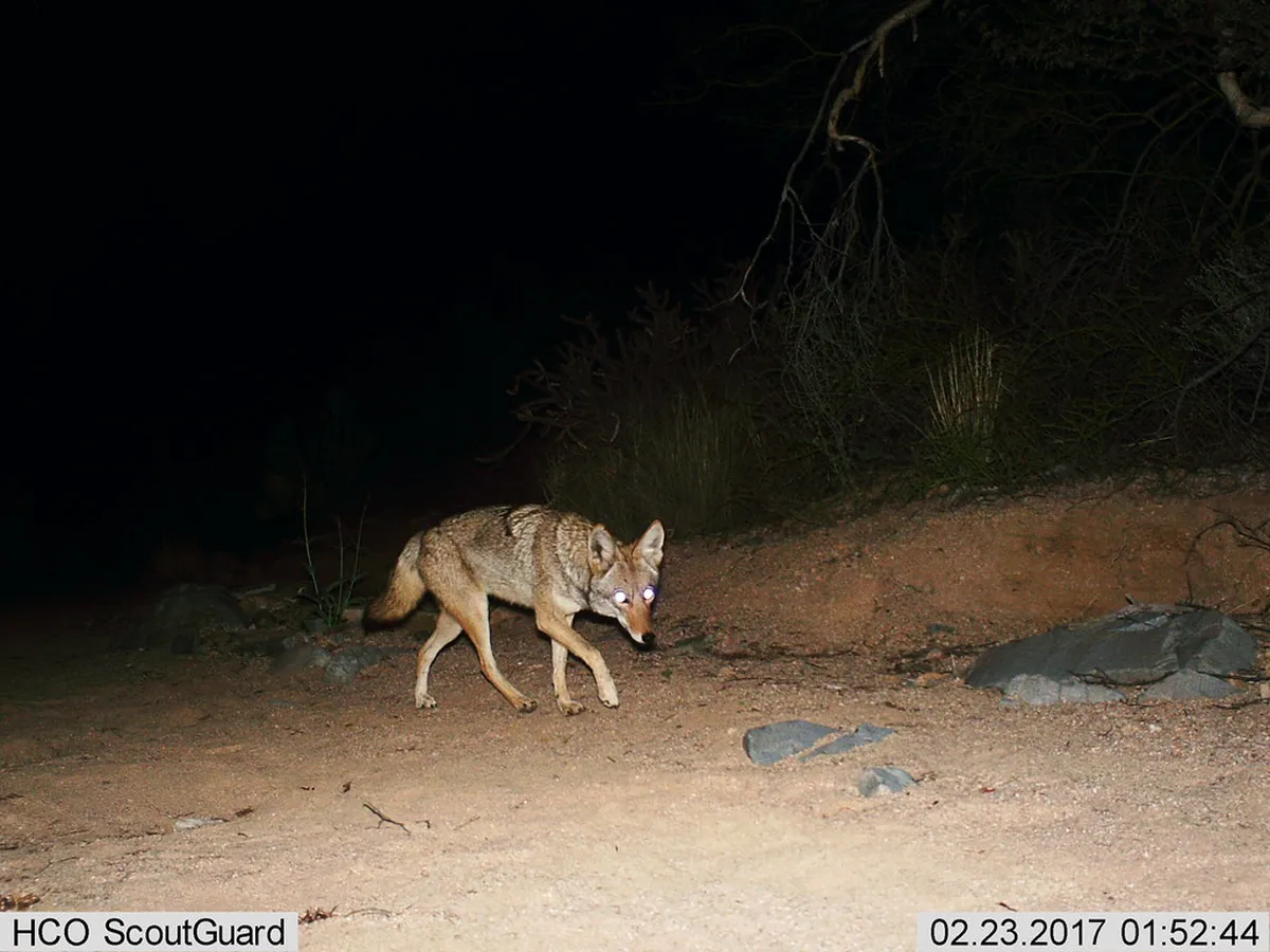 Latrán District Architecture Walk: A 1-Day Guide