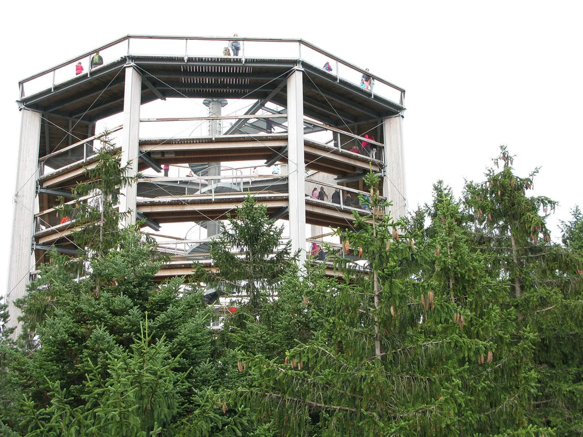 Lipno Treetop Walkway Guide: Is It Worth a Visit?