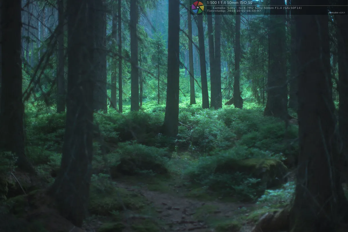 10 Best Routes for Šumava National Park Hiking in 2026