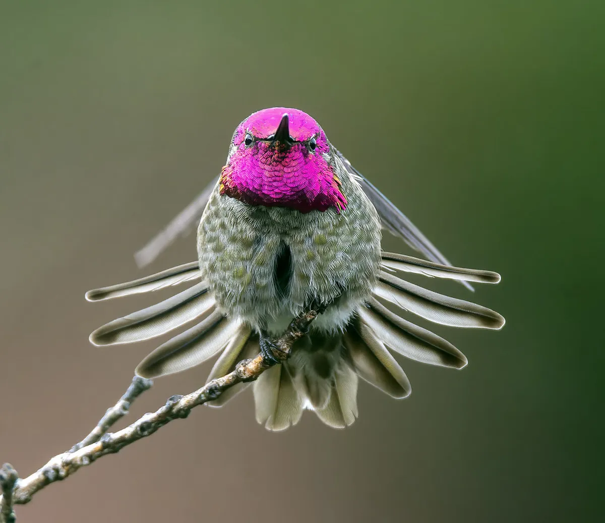 10 Best Watching Rafters Vltava Viewpoints in Krumlov