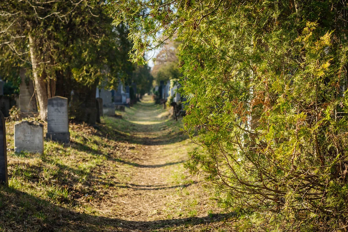 Beethoven Path Karlovy Vary: A 3-Day Hiking Itinerary