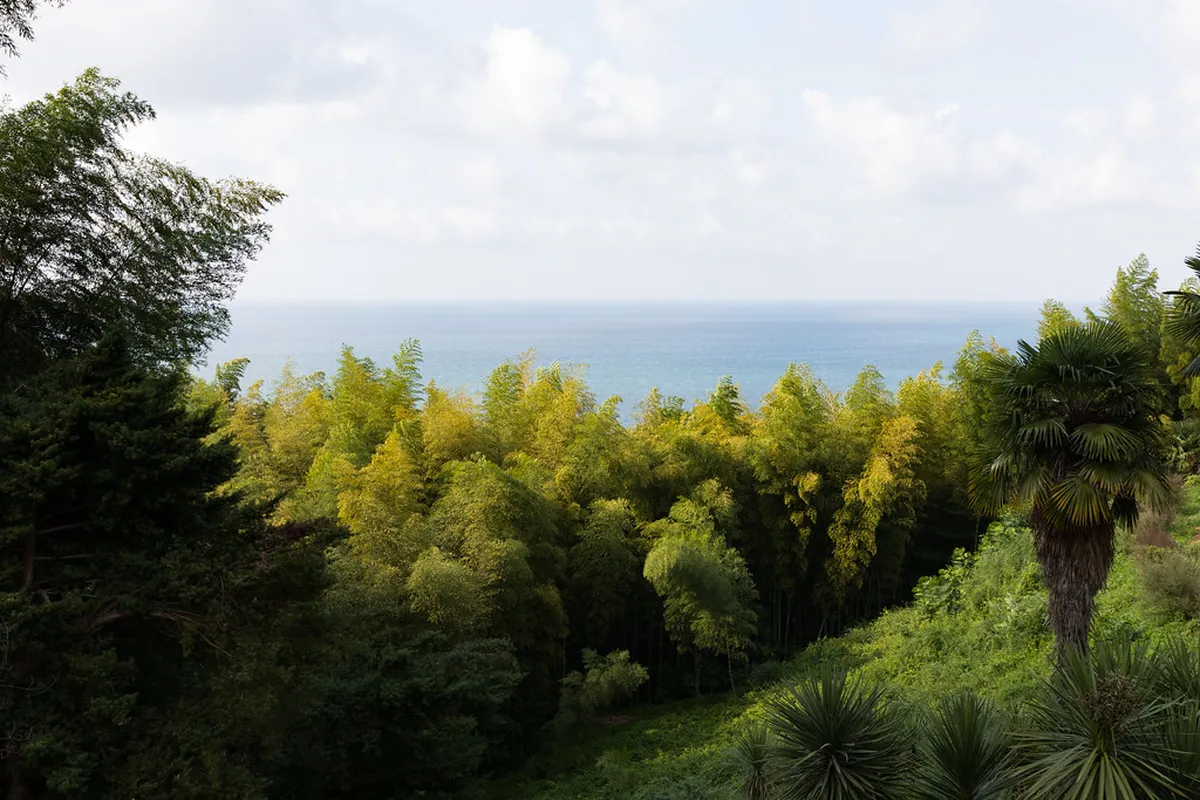 Guide to Botanic Gardens and Rosarium Access in Olomouc