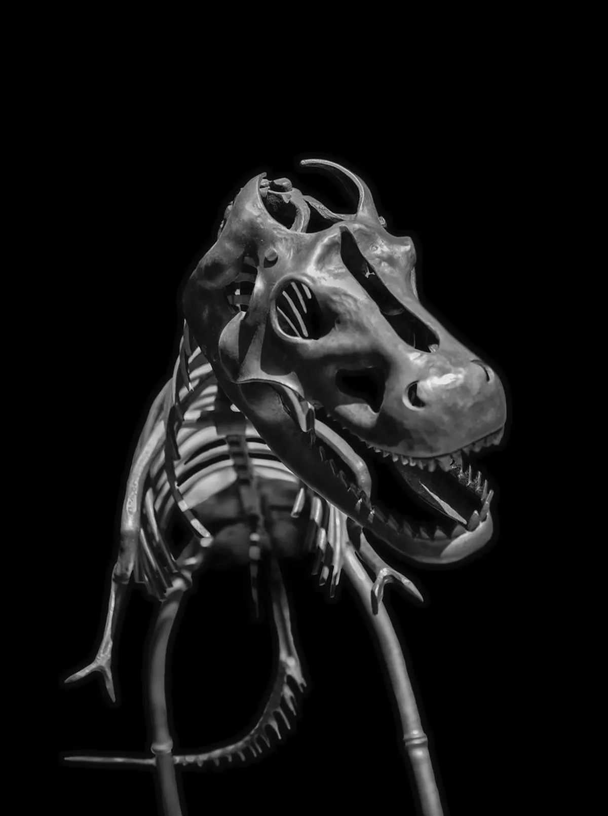 Helfštýn Castle Ruins Guide: 10 Best Things to Do