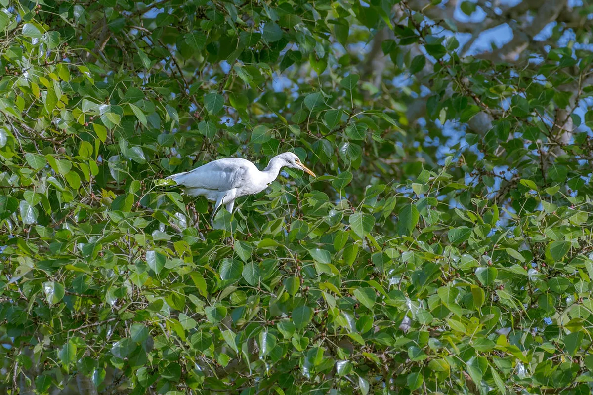 10 Best Sites for a Javoříčské Caves Exploration Trip