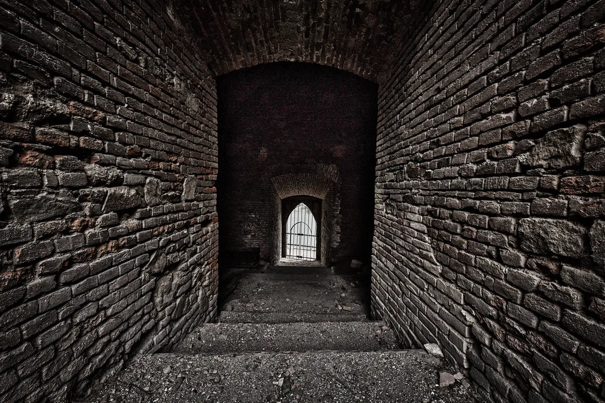 Plumlov Castle and Dam Relax: 11 Best Things to Do