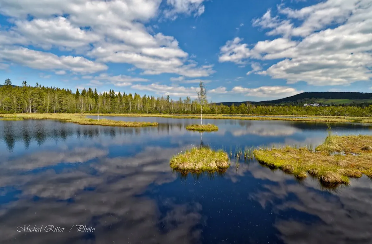 Šumava National Park Day Trip: The Ultimate Plzeň Guide