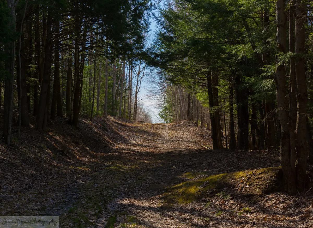 Walking Trail Doudlevce to Plzeň: Full Guide