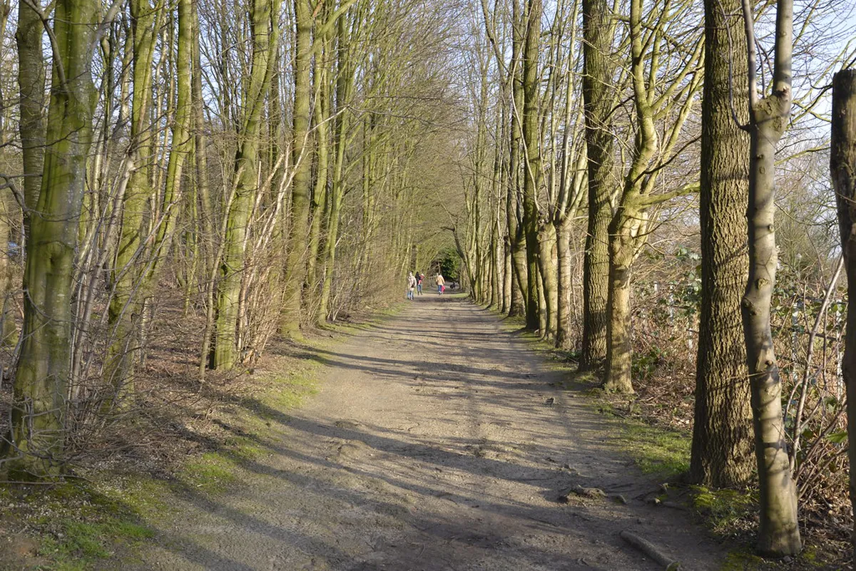 Winter Walking Trails Around Plzeň Guide