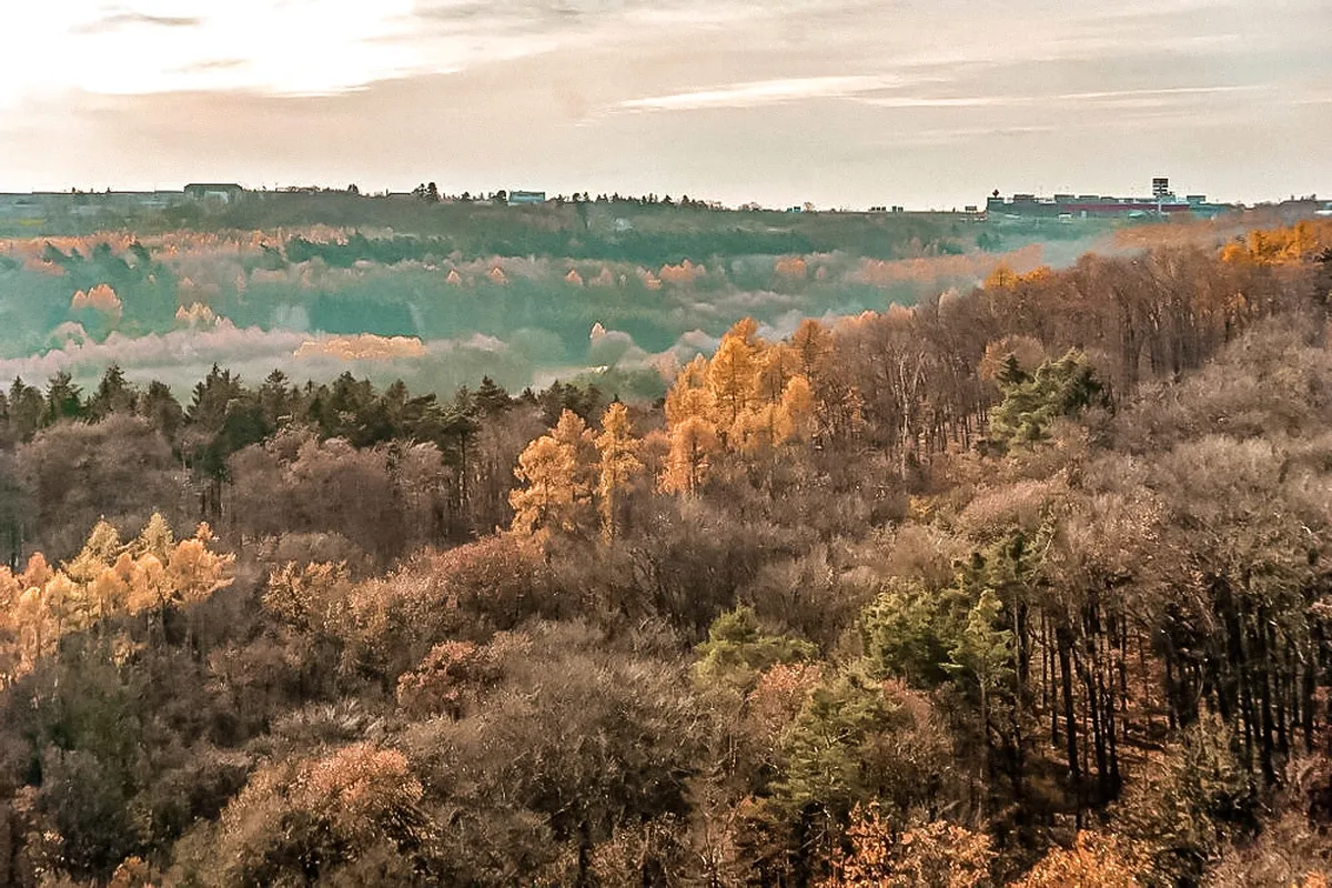 10 Best Divoká Šárka Nature Trails and Sights in Prague