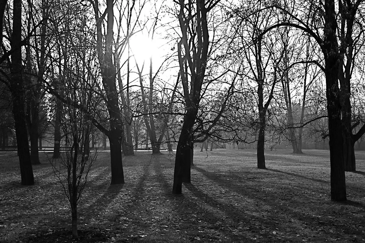 Letná Park Scenic Views Guide: 10 Best Photo Spots